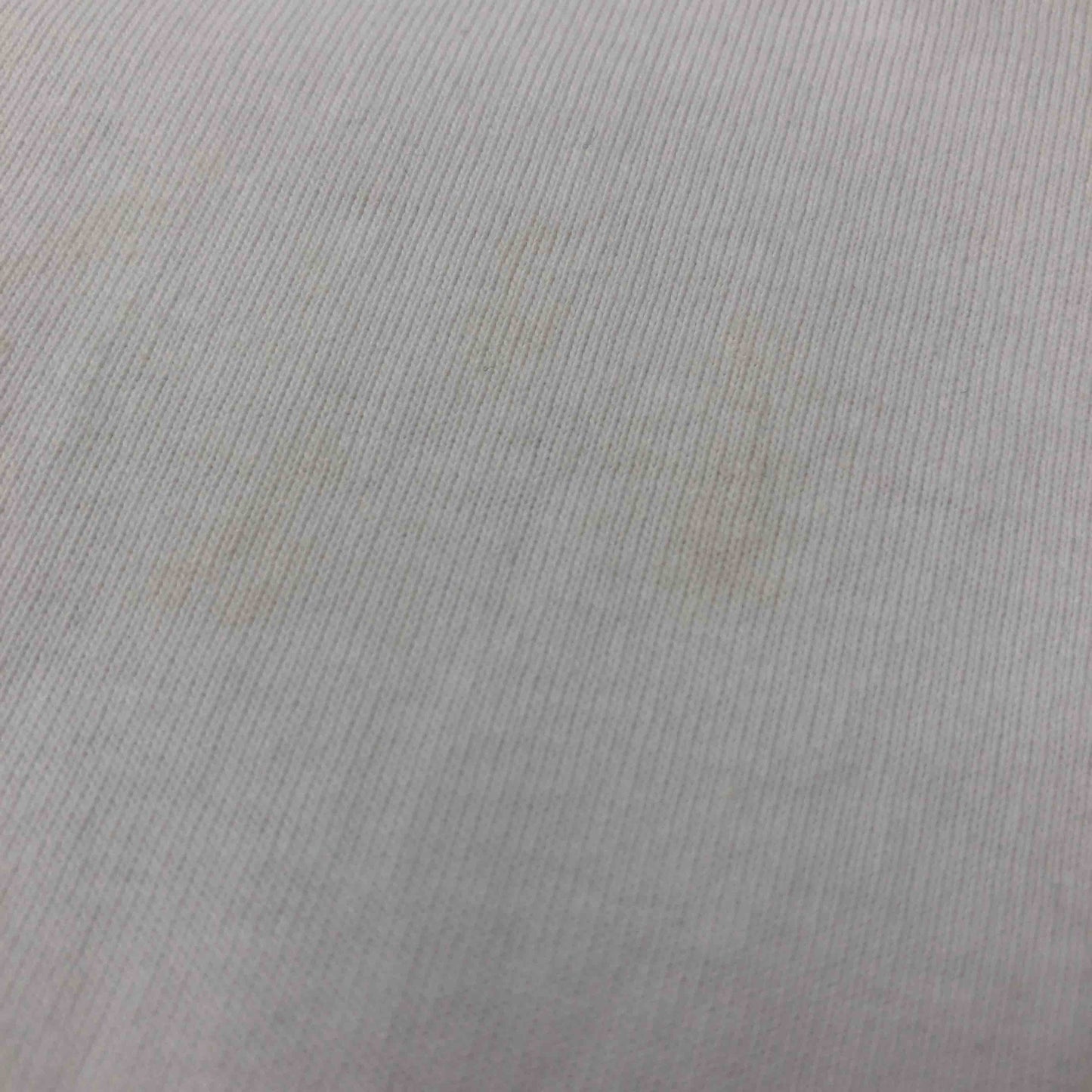 U.S.POLO ASSN. ユーエスポロアッスン メンズ Tシャツ（長袖） 白tk