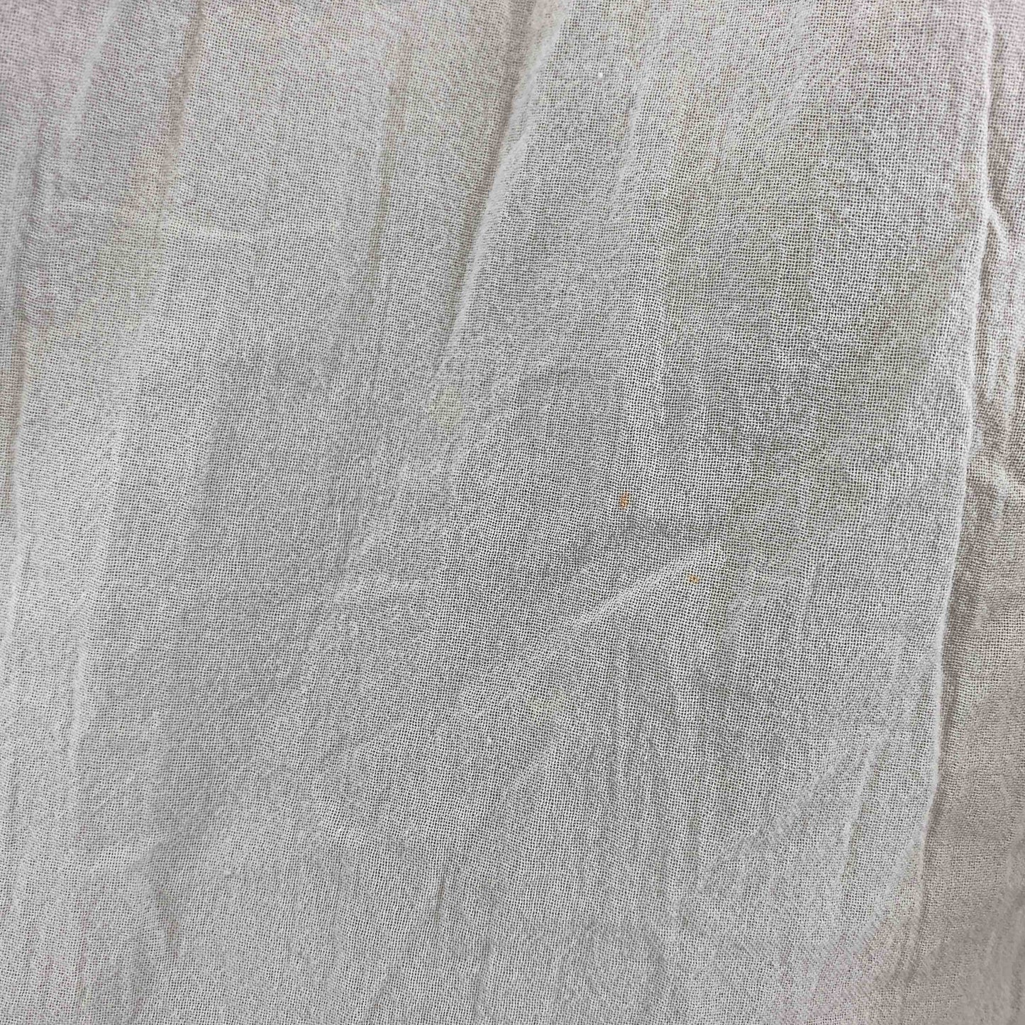 SUSURI ススリ ライトグレー シアー 無地 シンプル レディース 半袖シャツ/ブラウス