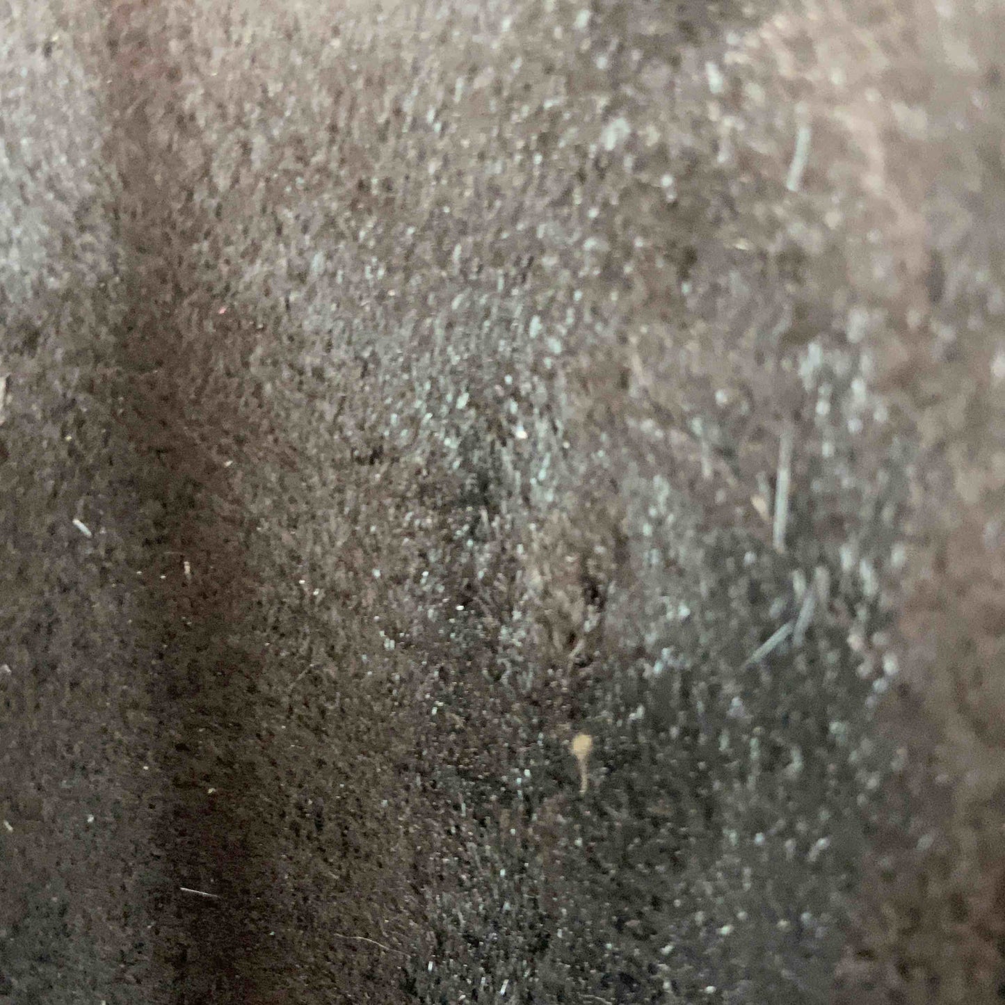 レディース 毛皮/ファーコート ジャケット 総柄 ダークブラウン