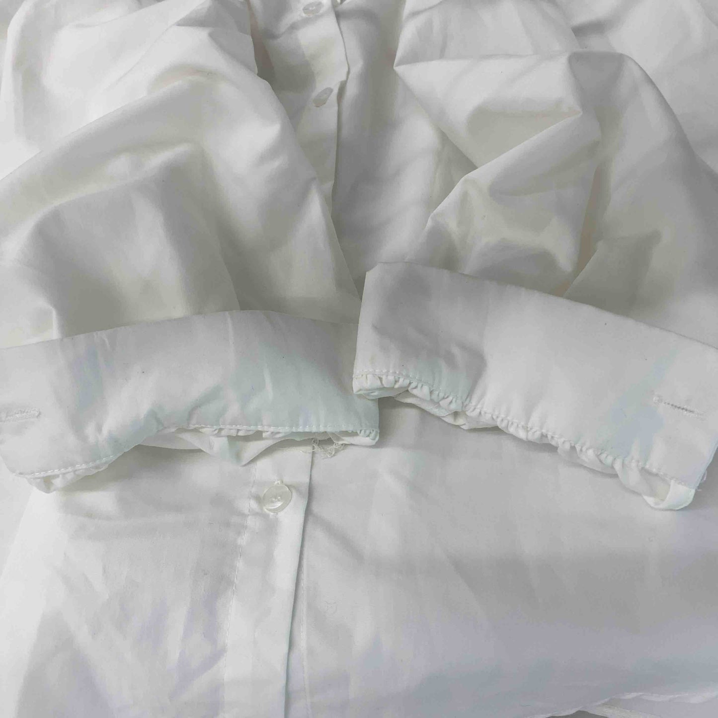 TF008 STUDIO レディース 長袖シャツ/ブラウス 白 バンドカラー