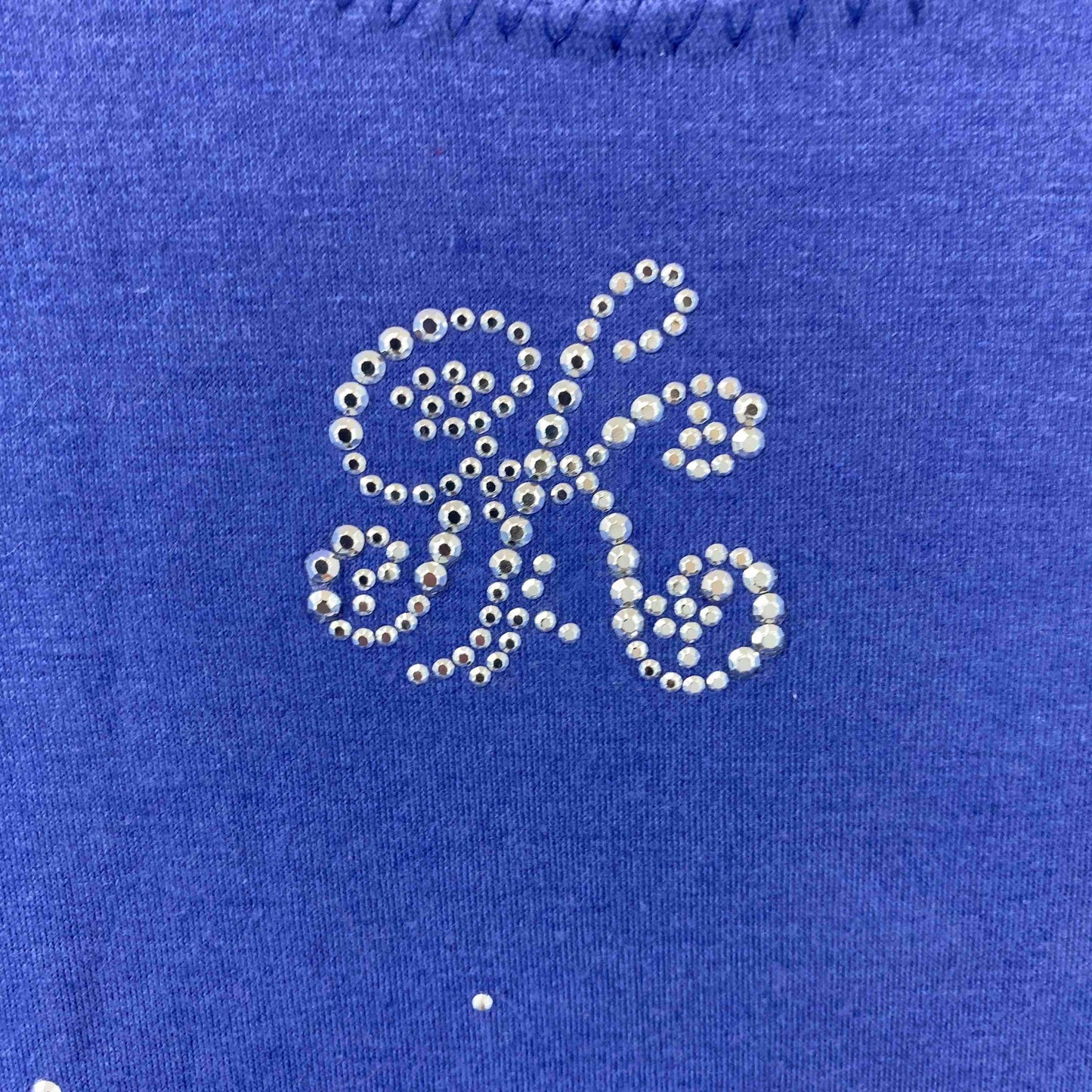 伊太利屋 イタリヤ レディース Tシャツ（半袖）青紫