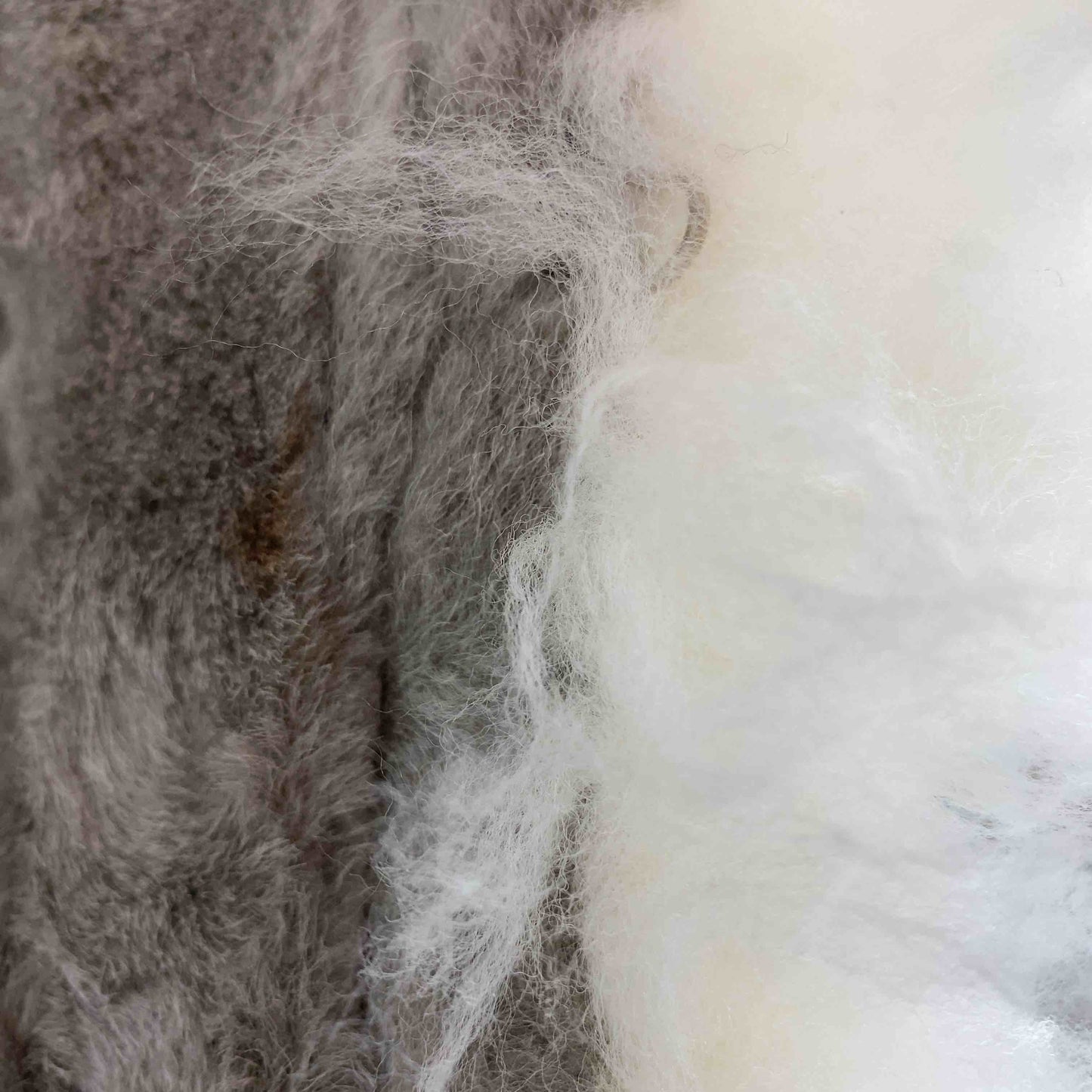 レディース 毛皮/ファーベスト ムートン ブラウン