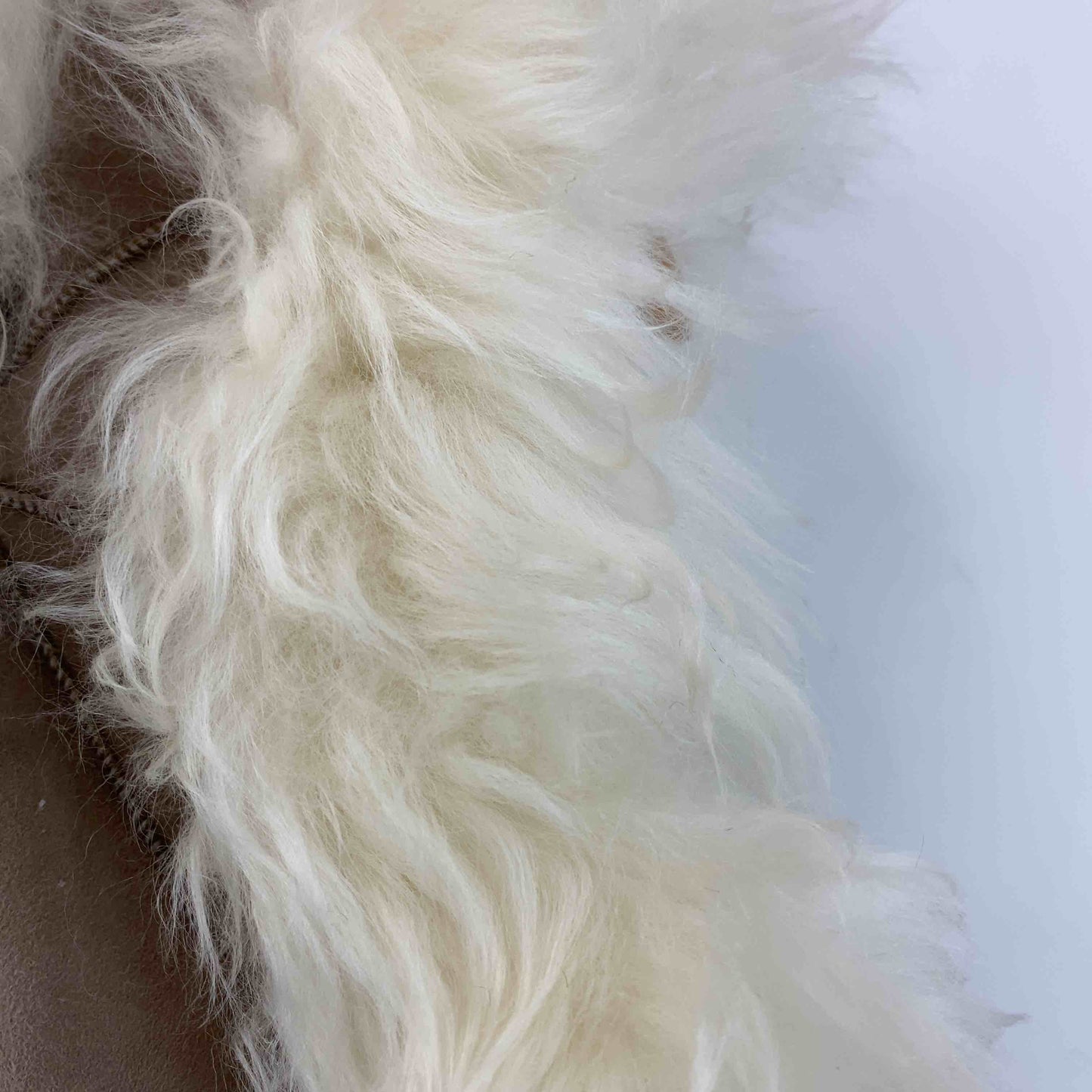 レディース 毛皮/ファーベスト ムートン ブラウン