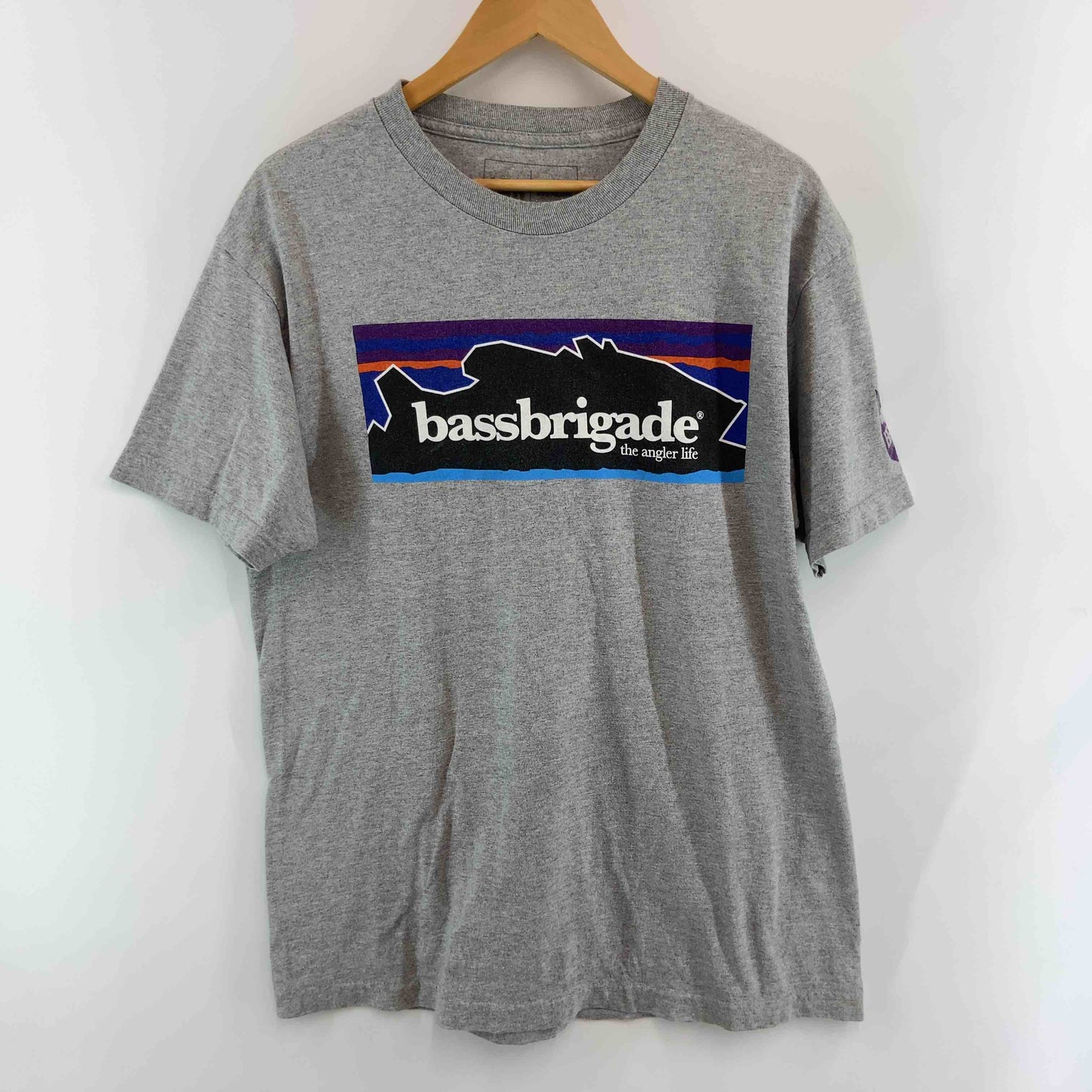 patagonia メンズ パタゴニア Tシャツ(半袖/袖無し) グレー