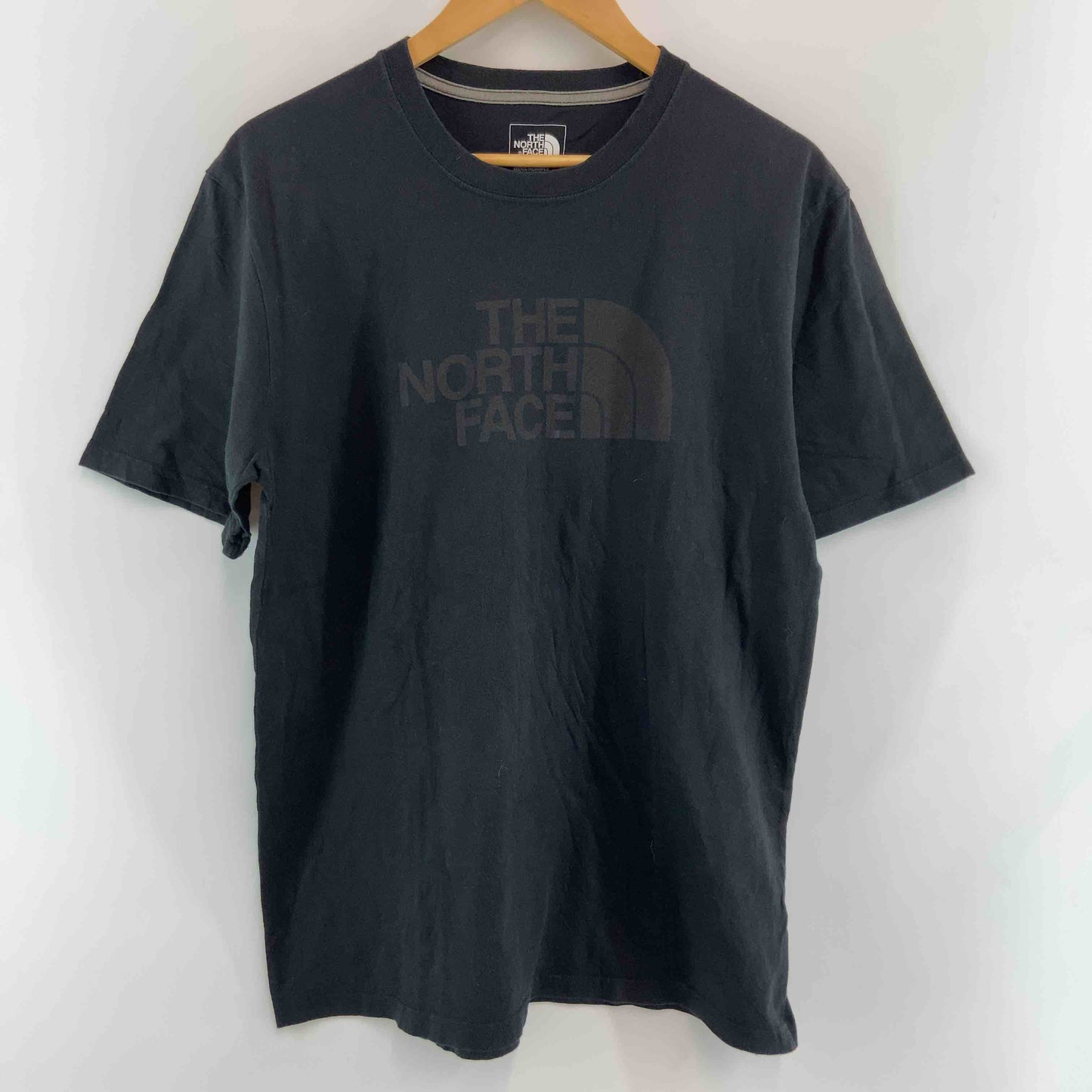 THE NORTH FACE メンズ ザノースフェイス Tシャツ(半袖/袖無し)